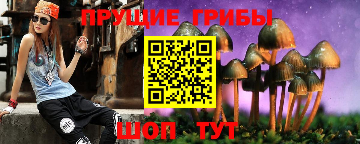 Псилоцибиновые грибы мухоморы  Вход с VPN  где продают наркотики  Обнинск 